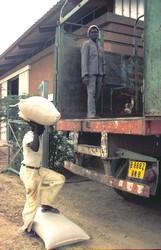 Chargement des céréales dans un camion au Sahel