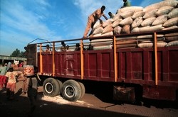 Chargement de camion pour le transport des céréales