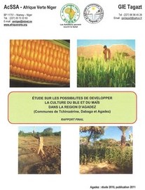 Etude blé et maïs à  Agadez au Niger
