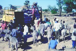 Déchargement d'un camion de céréales en zone déficitaire