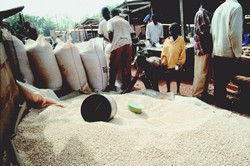 Céréales sur les marchés nigériens