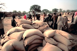 Approvisionnement d'une zone déficitaire au Niger